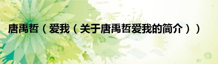 唐禹哲（愛我（關(guān)于唐禹哲愛我的簡(jiǎn)介））