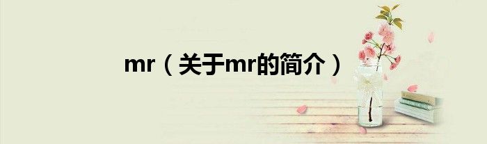 mr（關(guān)于mr的簡(jiǎn)介）