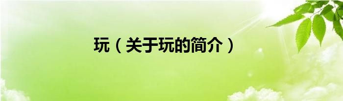 玩（關(guān)于玩的簡介）