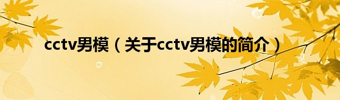 cctv男模（關(guān)于cctv男模的簡介）