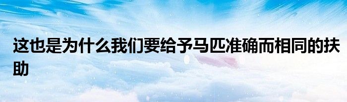 這也是為什么我們要給予馬匹準確而相同的扶助