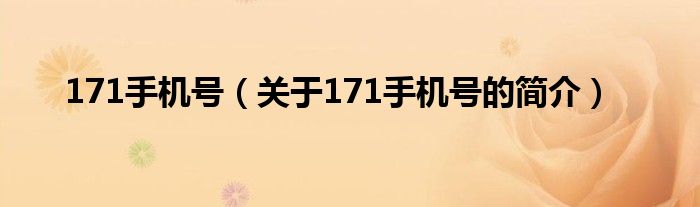 171手機號（關(guān)于171手機號的簡介）