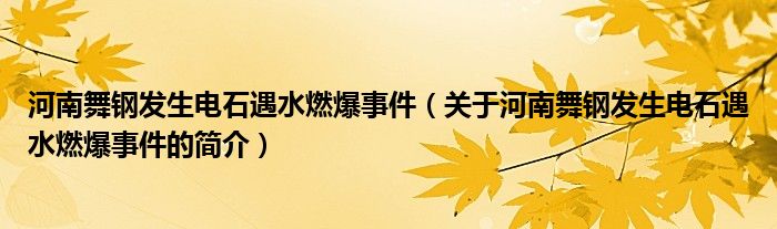 河南舞鋼發(fā)生電石遇水燃爆事件（關于河南舞鋼發(fā)生電石遇水燃爆事件的簡介）