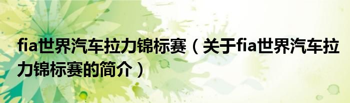 fia世界汽車?yán)﹀\標(biāo)賽（關(guān)于fia世界汽車?yán)﹀\標(biāo)賽的簡(jiǎn)介）