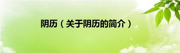 陰歷（關(guān)于陰歷的簡(jiǎn)介）