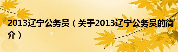 2013遼寧公務員（關于2013遼寧公務員的簡介）