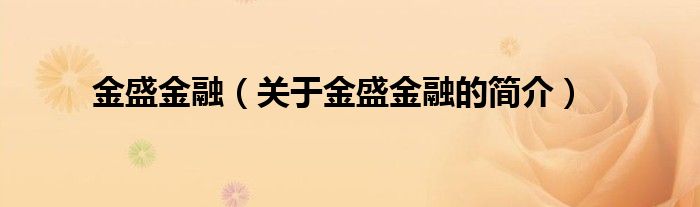 金盛金融（關(guān)于金盛金融的簡(jiǎn)介）