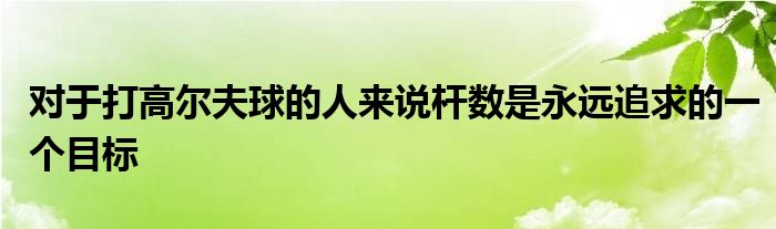 對于打高爾夫球的人來說桿數是永遠追求的一個目標