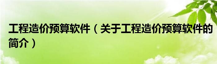 工程造價(jià)預(yù)算軟件（關(guān)于工程造價(jià)預(yù)算軟件的簡介）