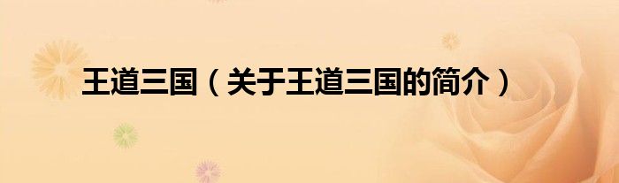 王道三國(guó)（關(guān)于王道三國(guó)的簡(jiǎn)介）