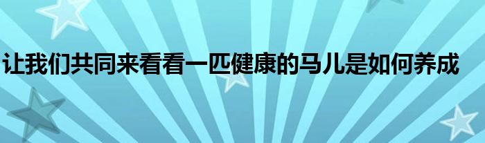 讓我們共同來(lái)看看一匹健康的馬兒是如何養(yǎng)成