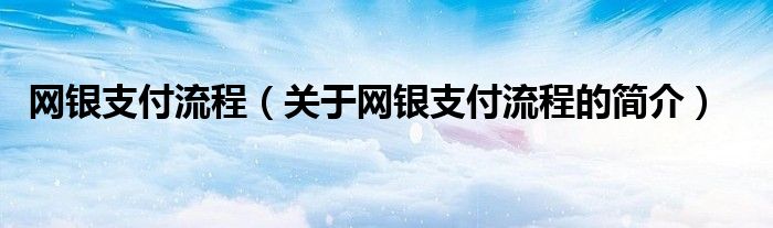 網銀支付流程（關于網銀支付流程的簡介）