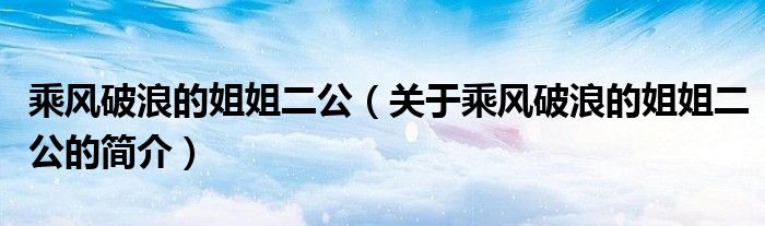 乘風破浪的姐姐二公（關(guān)于乘風破浪的姐姐二公的簡介）