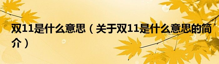 雙11是什么意思（關(guān)于雙11是什么意思的簡介）