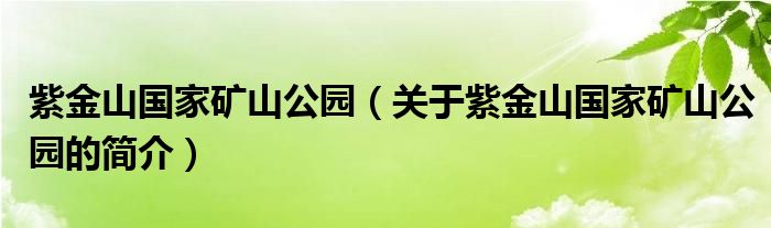 紫金山國家礦山公園（關(guān)于紫金山國家礦山公園的簡介）