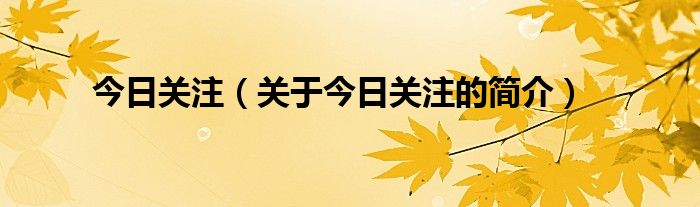 今日關注（關于今日關注的簡介）