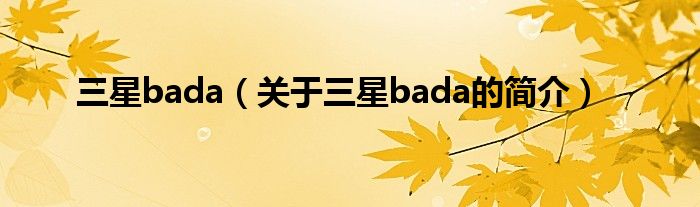 三星bada（關(guān)于三星bada的簡(jiǎn)介）