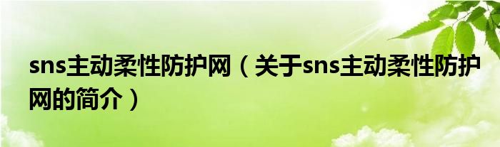 sns主動(dòng)柔性防護(hù)網(wǎng)（關(guān)于sns主動(dòng)柔性防護(hù)網(wǎng)的簡(jiǎn)介）