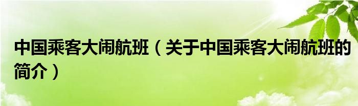 中國(guó)乘客大鬧航班（關(guān)于中國(guó)乘客大鬧航班的簡(jiǎn)介）