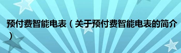 預(yù)付費(fèi)智能電表（關(guān)于預(yù)付費(fèi)智能電表的簡(jiǎn)介）