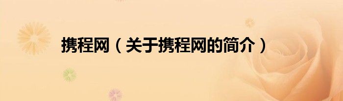 攜程網(wǎng)（關(guān)于攜程網(wǎng)的簡介）