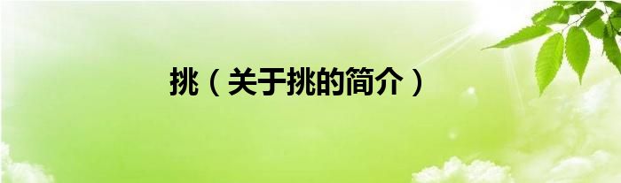 挑（關(guān)于挑的簡介）