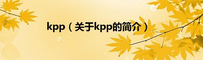 kpp（關(guān)于kpp的簡(jiǎn)介）