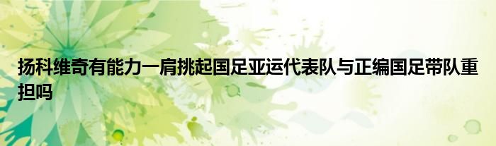 揚(yáng)科維奇有能力一肩挑起國足亞運(yùn)代表隊(duì)與正編國足帶隊(duì)重?fù)?dān)嗎