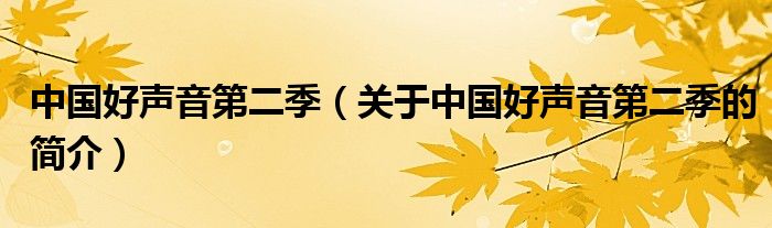 中國好聲音第二季（關于中國好聲音第二季的簡介）