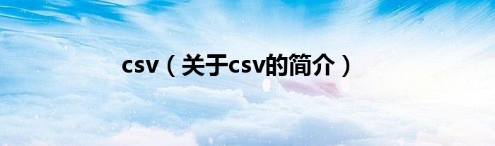 csv（關(guān)于csv的簡介）