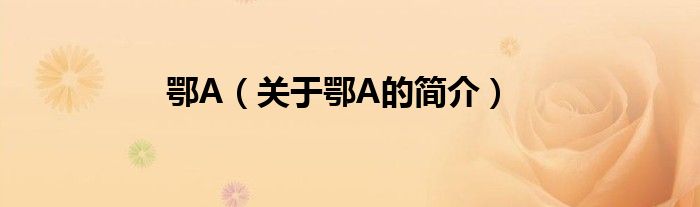 鄂A（關(guān)于鄂A的簡(jiǎn)介）