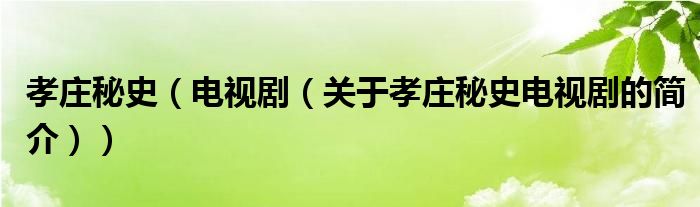 孝莊秘史（電視?。P(guān)于孝莊秘史電視劇的簡(jiǎn)介））