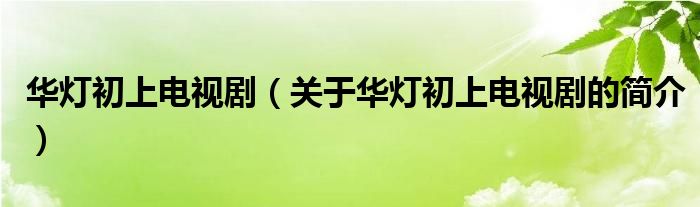 華燈初上電視?。P(guān)于華燈初上電視劇的簡介）