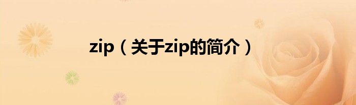 zip（關于zip的簡介）