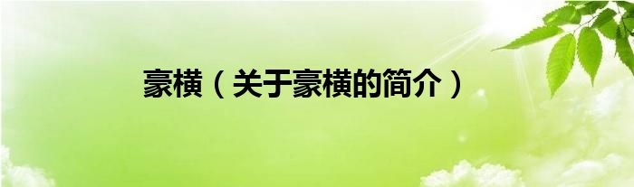 豪橫（關(guān)于豪橫的簡(jiǎn)介）