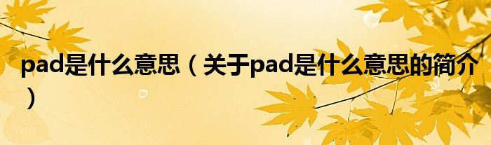 pad是什么意思（關(guān)于pad是什么意思的簡介）