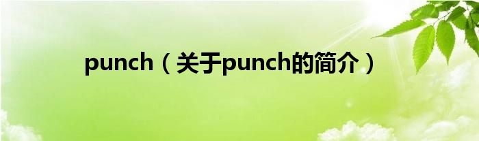 punch（關(guān)于punch的簡介）