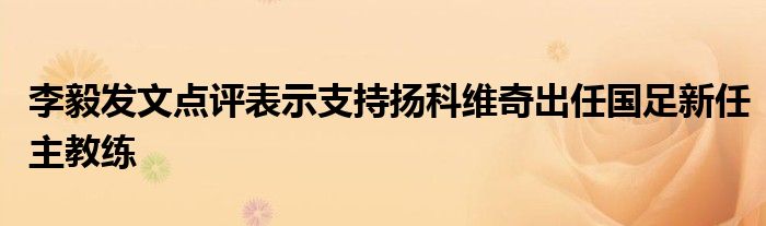 李毅發(fā)文點(diǎn)評表示支持揚(yáng)科維奇出任國足新任主教練