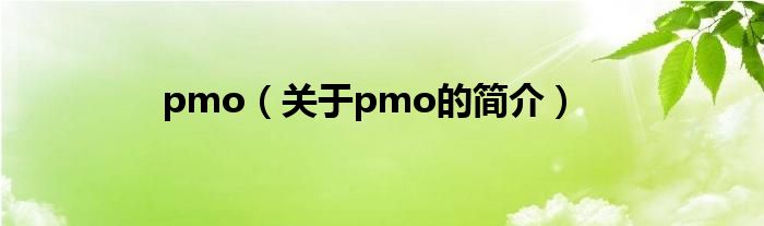 pmo（關于pmo的簡介）