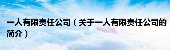 一人有限責(zé)任公司（關(guān)于一人有限責(zé)任公司的簡介）