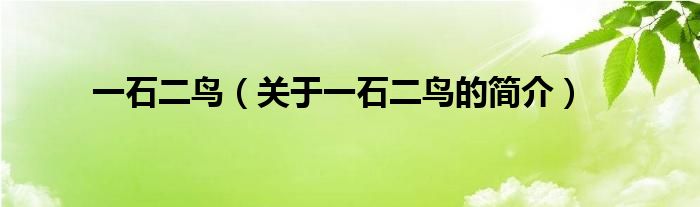 一石二鳥（關于一石二鳥的簡介）