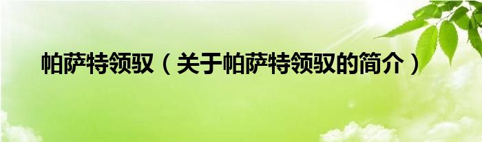 帕薩特領(lǐng)馭（關(guān)于帕薩特領(lǐng)馭的簡介）