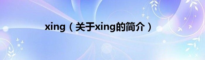 xing（關(guān)于xing的簡(jiǎn)介）