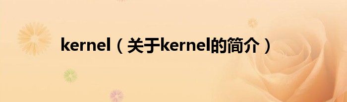 kernel（關(guān)于kernel的簡(jiǎn)介）