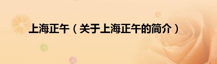 上海正午（關(guān)于上海正午的簡(jiǎn)介）