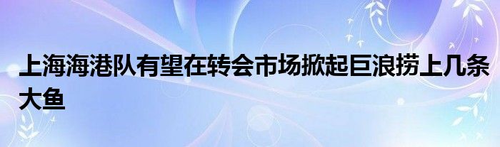 上海海港隊(duì)有望在轉(zhuǎn)會(huì)市場(chǎng)掀起巨浪撈上幾條大魚