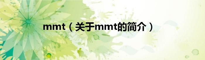 mmt（關于mmt的簡介）