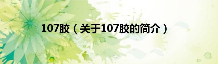 107膠（關(guān)于107膠的簡(jiǎn)介）