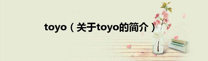 toyo（關于toyo的簡介）