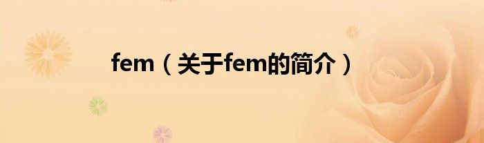 fem（關(guān)于fem的簡(jiǎn)介）